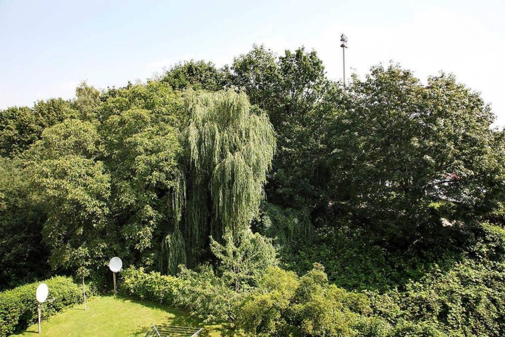 City Apartments Cologne - Apartment 2 Εξωτερικό φωτογραφία